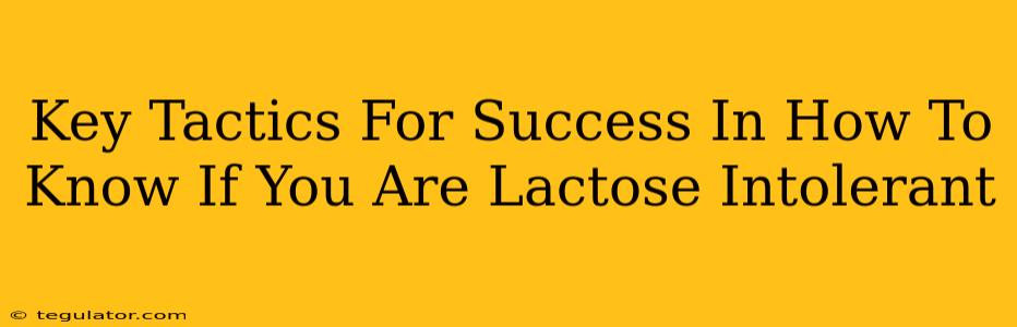 Key Tactics For Success In How To Know If You Are Lactose Intolerant