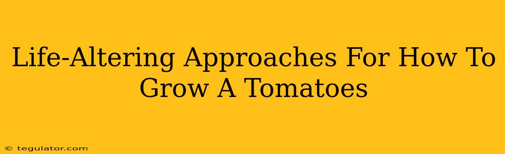 Life-Altering Approaches For How To Grow A Tomatoes