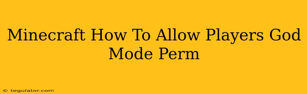 Minecraft How To Allow Players God Mode Perm