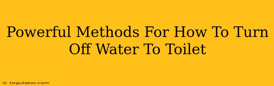 Powerful Methods For How To Turn Off Water To Toilet