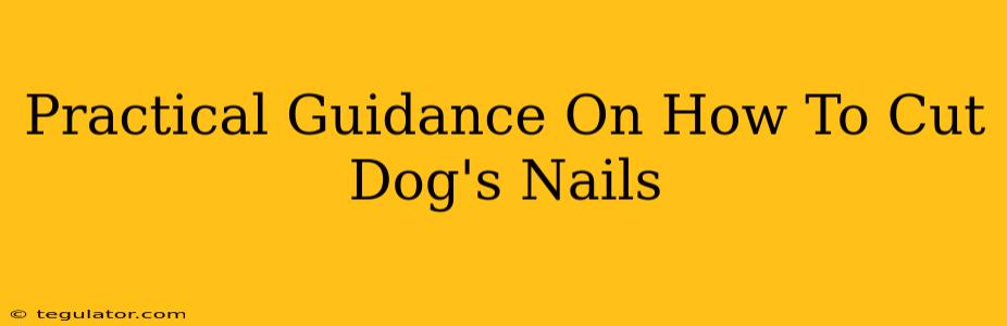 Practical Guidance On How To Cut Dog's Nails