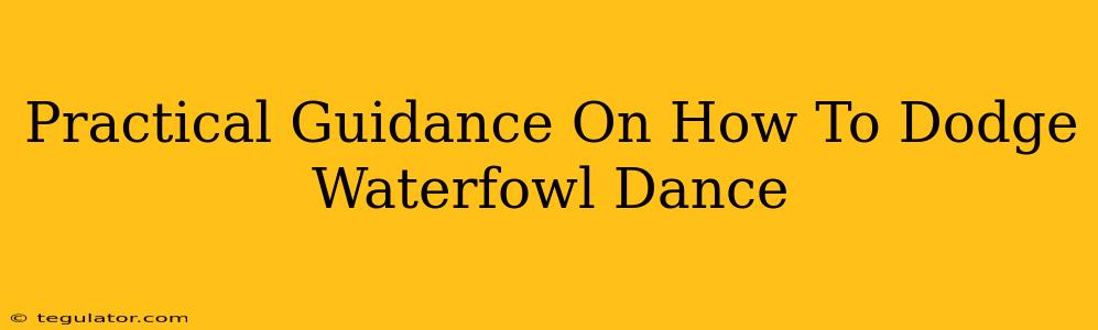 Practical Guidance On How To Dodge Waterfowl Dance