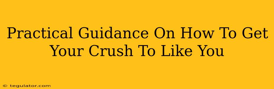 Practical Guidance On How To Get Your Crush To Like You