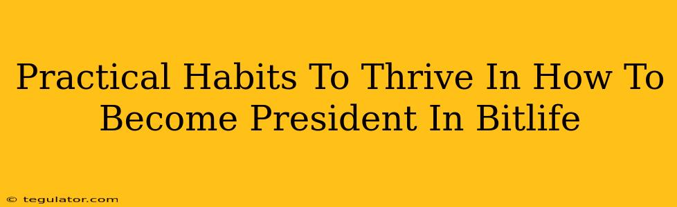 Practical Habits To Thrive In How To Become President In Bitlife