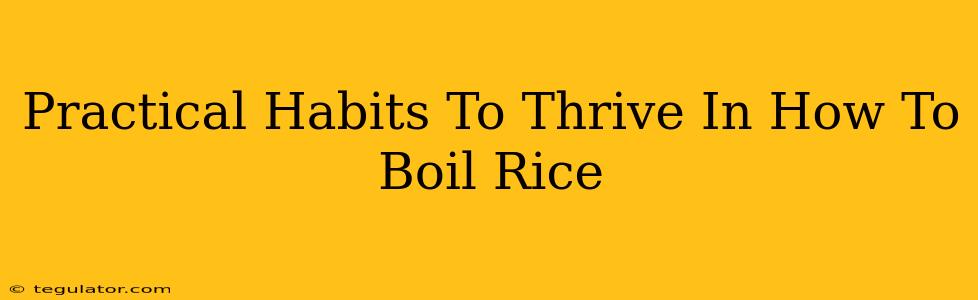 Practical Habits To Thrive In How To Boil Rice