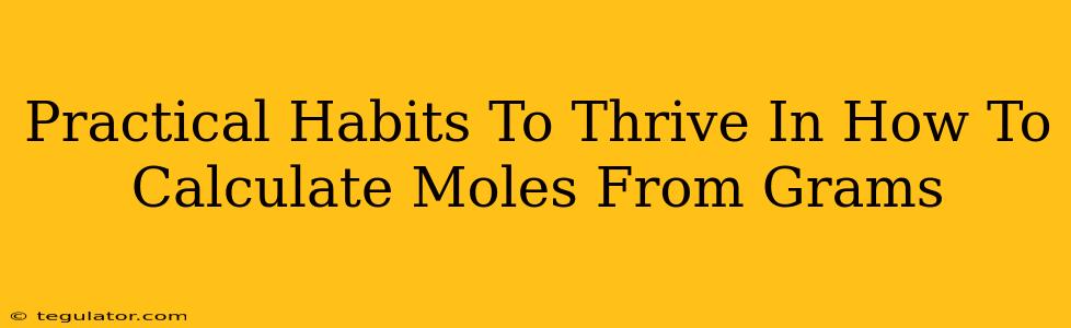 Practical Habits To Thrive In How To Calculate Moles From Grams