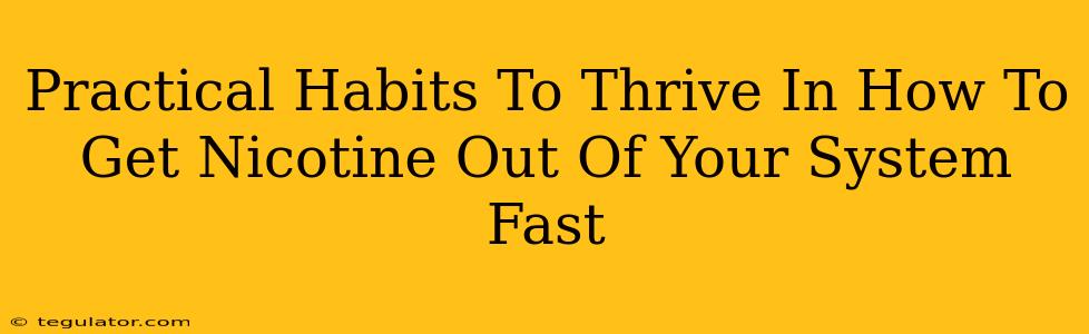 Practical Habits To Thrive In How To Get Nicotine Out Of Your System Fast