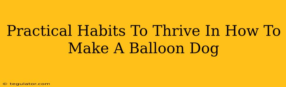 Practical Habits To Thrive In How To Make A Balloon Dog