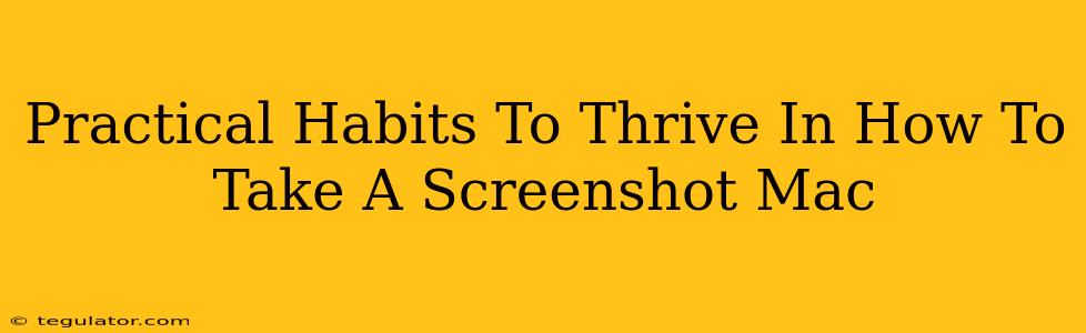 Practical Habits To Thrive In How To Take A Screenshot Mac