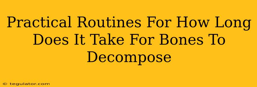 Practical Routines For How Long Does It Take For Bones To Decompose