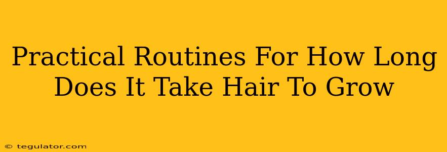 Practical Routines For How Long Does It Take Hair To Grow