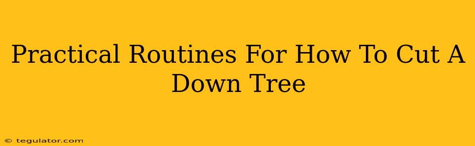 Practical Routines For How To Cut A Down Tree