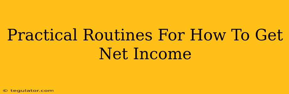 Practical Routines For How To Get Net Income