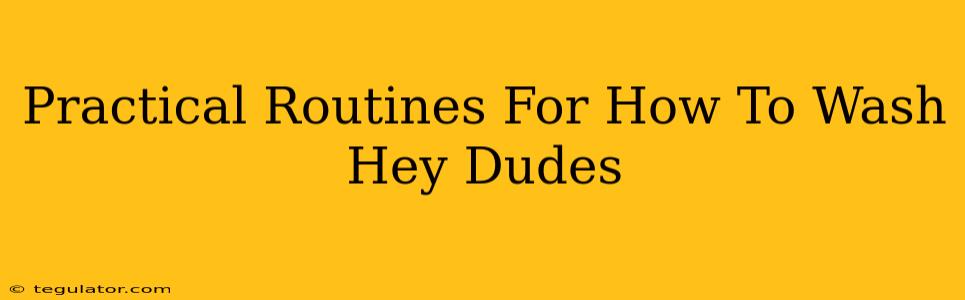 Practical Routines For How To Wash Hey Dudes