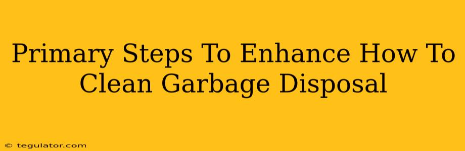 Primary Steps To Enhance How To Clean Garbage Disposal