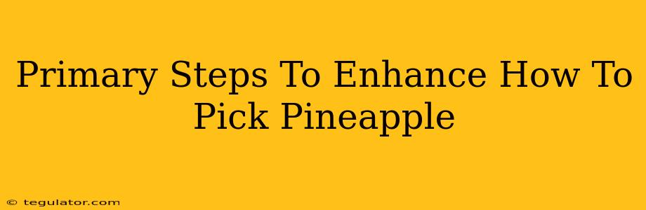 Primary Steps To Enhance How To Pick Pineapple