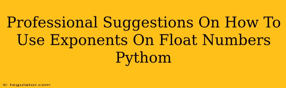 Professional Suggestions On How To Use Exponents On Float Numbers Pythom