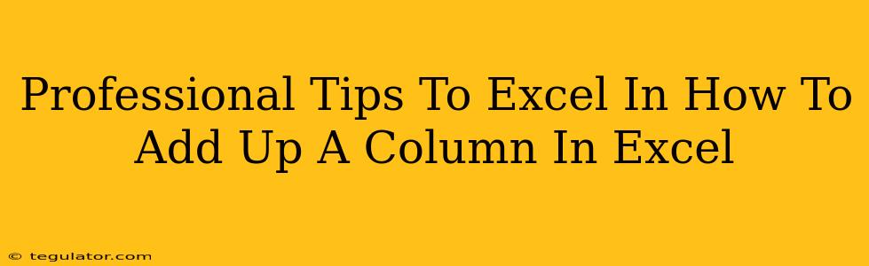 Professional Tips To Excel In How To Add Up A Column In Excel