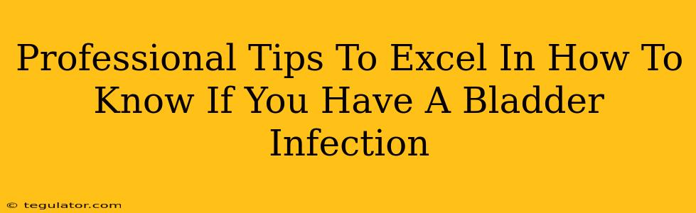 Professional Tips To Excel In How To Know If You Have A Bladder Infection