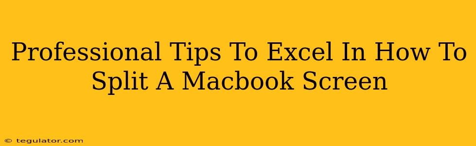 Professional Tips To Excel In How To Split A Macbook Screen