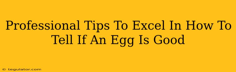 Professional Tips To Excel In How To Tell If An Egg Is Good