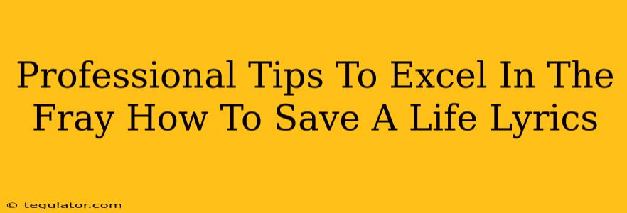 Professional Tips To Excel In The Fray How To Save A Life Lyrics