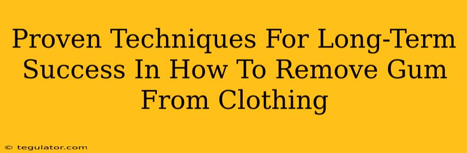 Proven Techniques For Long-Term Success In How To Remove Gum From Clothing