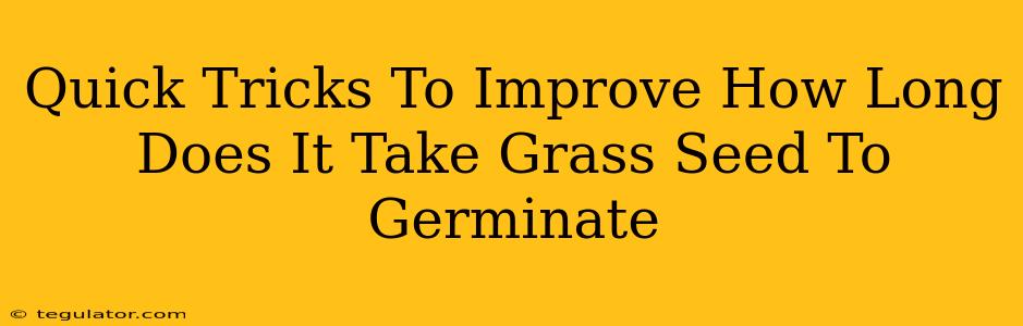 Quick Tricks To Improve How Long Does It Take Grass Seed To Germinate