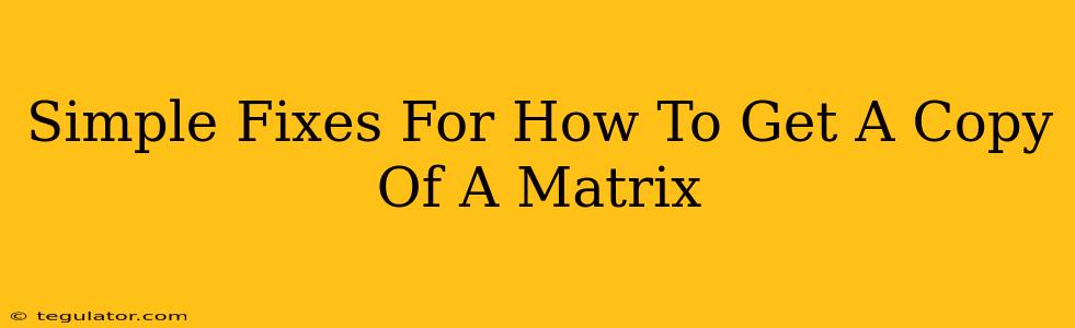 Simple Fixes For How To Get A Copy Of A Matrix