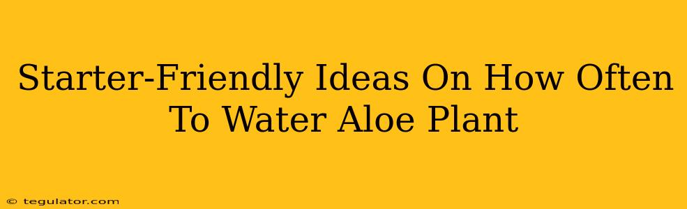 Starter-Friendly Ideas On How Often To Water Aloe Plant