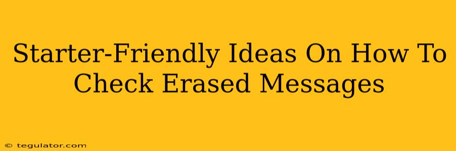 Starter-Friendly Ideas On How To Check Erased Messages