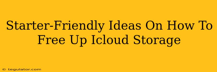 Starter-Friendly Ideas On How To Free Up Icloud Storage