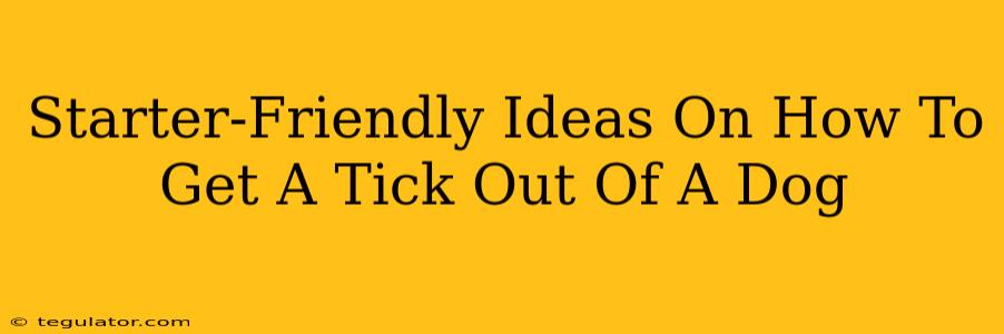 Starter-Friendly Ideas On How To Get A Tick Out Of A Dog