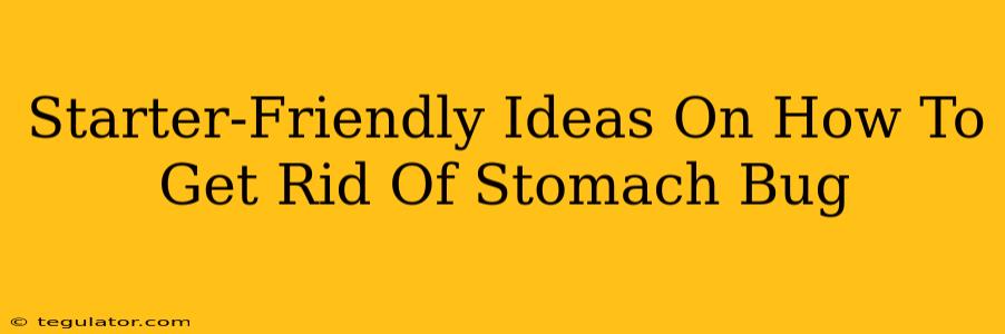 Starter-Friendly Ideas On How To Get Rid Of Stomach Bug