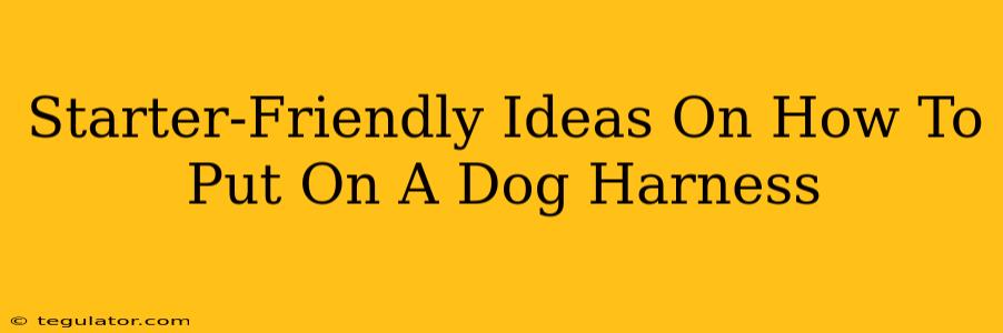 Starter-Friendly Ideas On How To Put On A Dog Harness