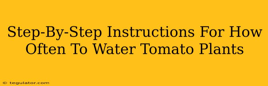 Step-By-Step Instructions For How Often To Water Tomato Plants