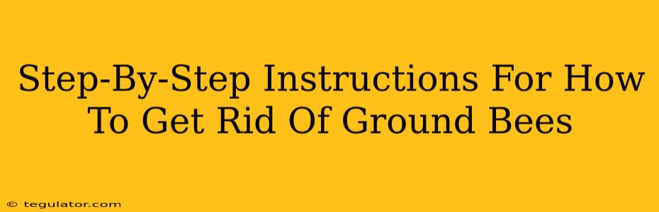 Step-By-Step Instructions For How To Get Rid Of Ground Bees