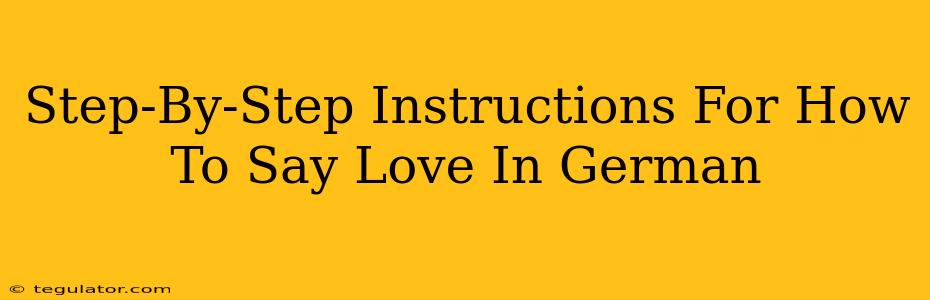 Step-By-Step Instructions For How To Say Love In German