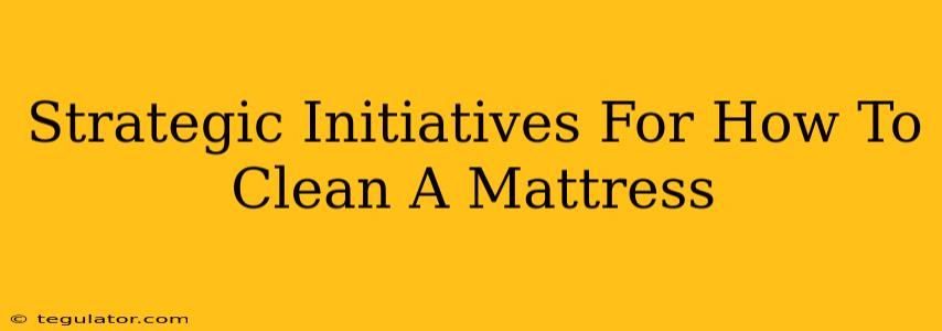 Strategic Initiatives For How To Clean A Mattress