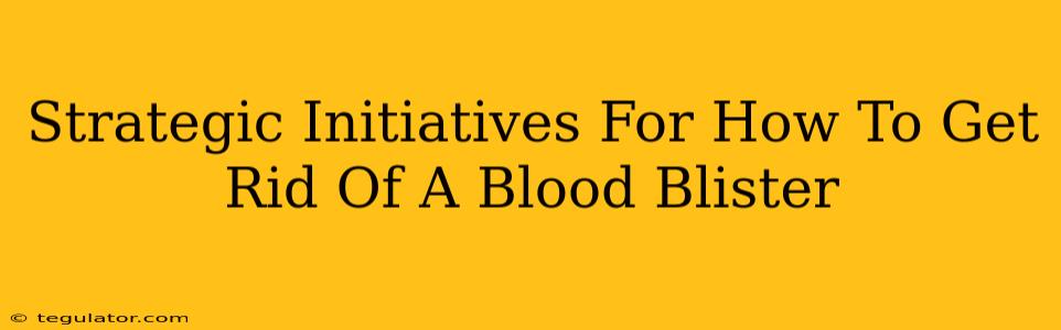 Strategic Initiatives For How To Get Rid Of A Blood Blister