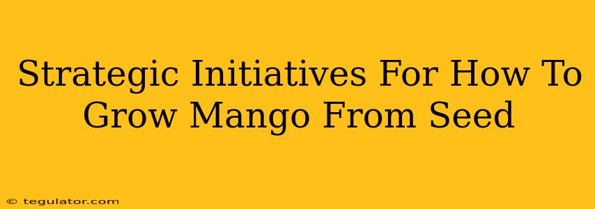 Strategic Initiatives For How To Grow Mango From Seed