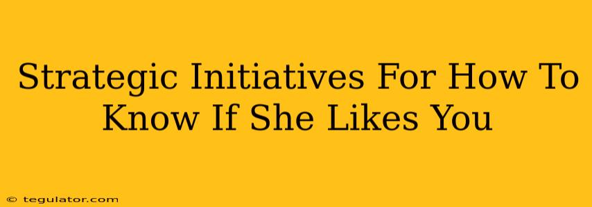 Strategic Initiatives For How To Know If She Likes You