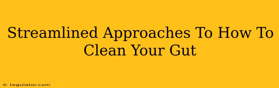 Streamlined Approaches To How To Clean Your Gut