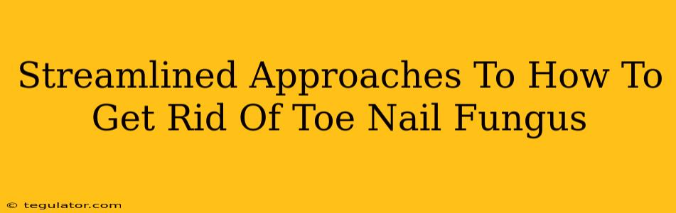 Streamlined Approaches To How To Get Rid Of Toe Nail Fungus