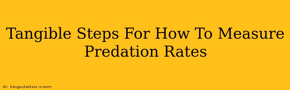 Tangible Steps For How To Measure Predation Rates