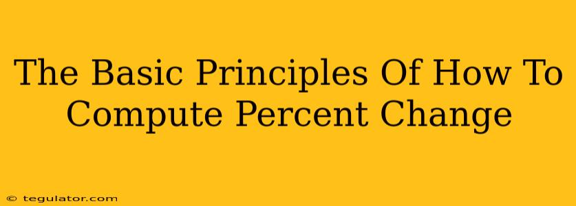 The Basic Principles Of How To Compute Percent Change