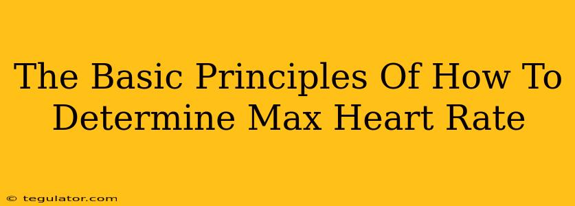 The Basic Principles Of How To Determine Max Heart Rate