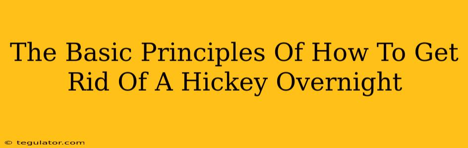 The Basic Principles Of How To Get Rid Of A Hickey Overnight