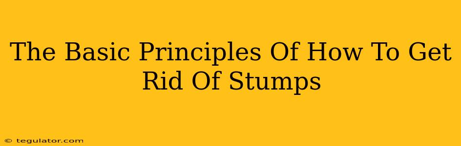 The Basic Principles Of How To Get Rid Of Stumps