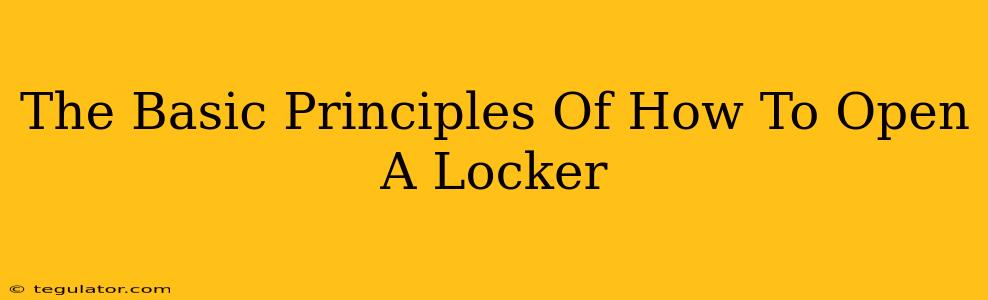 The Basic Principles Of How To Open A Locker